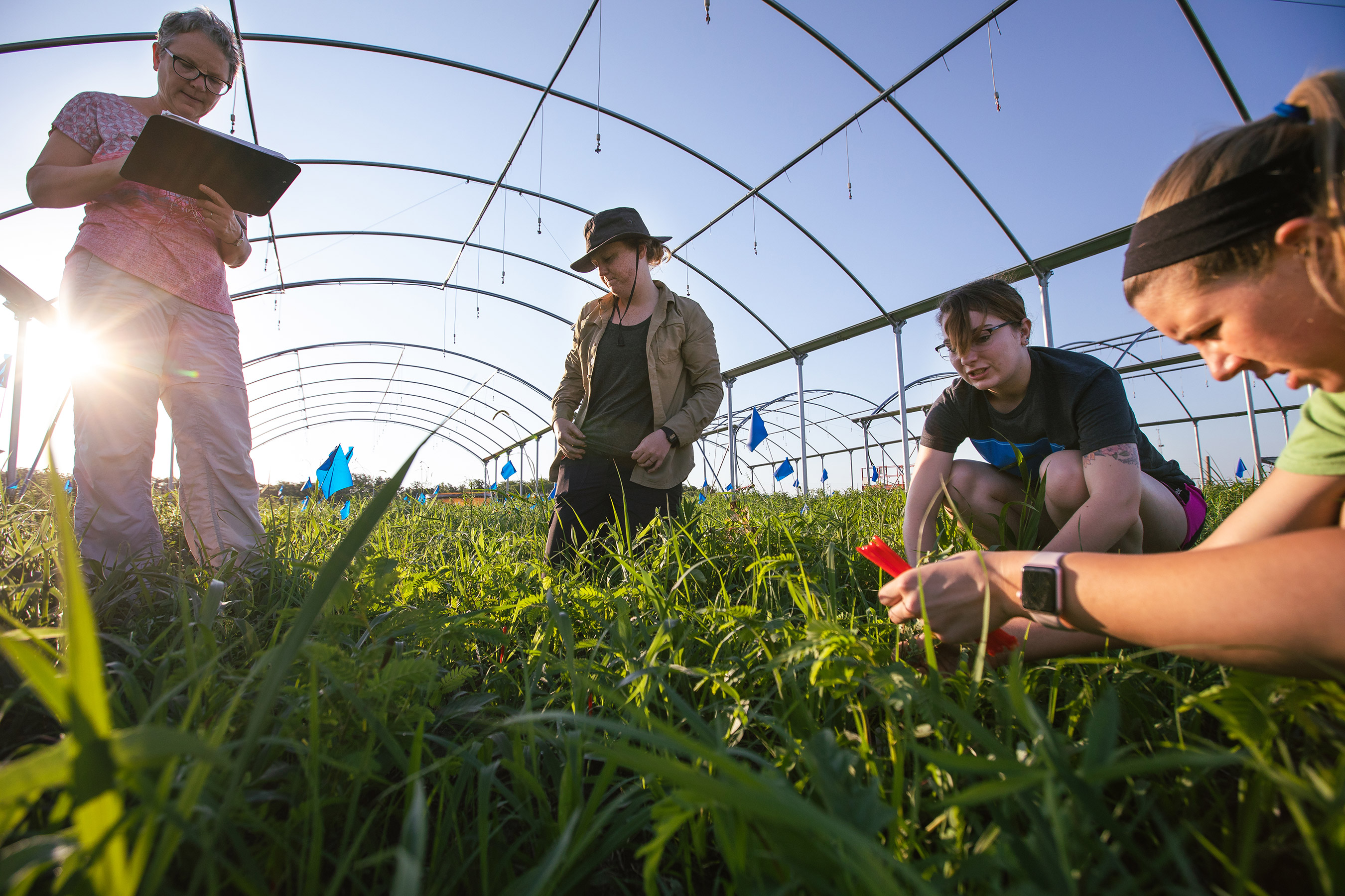 Students working at the KU field station